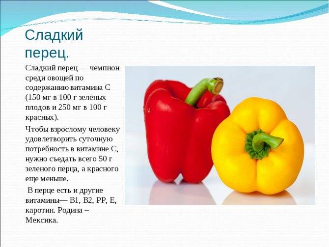 С какого возраста можно давать болгарский перец ребенку: когда этот продукт разрешен?