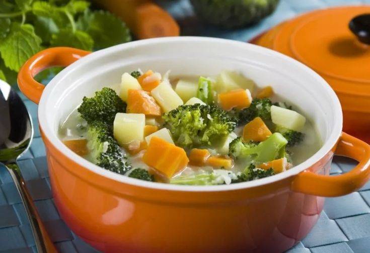 Какие первые супчики готовить детям 5 — 12 месяцев и в 1 год: лучшие рецепты детских супов. как вкусно приготовить овощные, мясные и молочные супы, супы-пюре для маленьких детей до 1 года: полезные рецепты