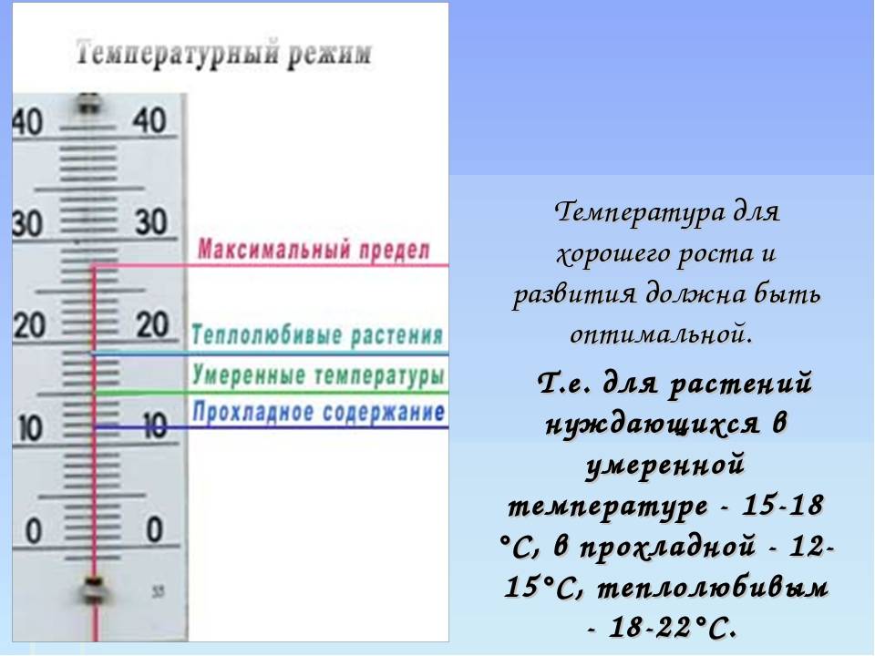 Температура в комнате для новорожденного: оптимальные показатели
