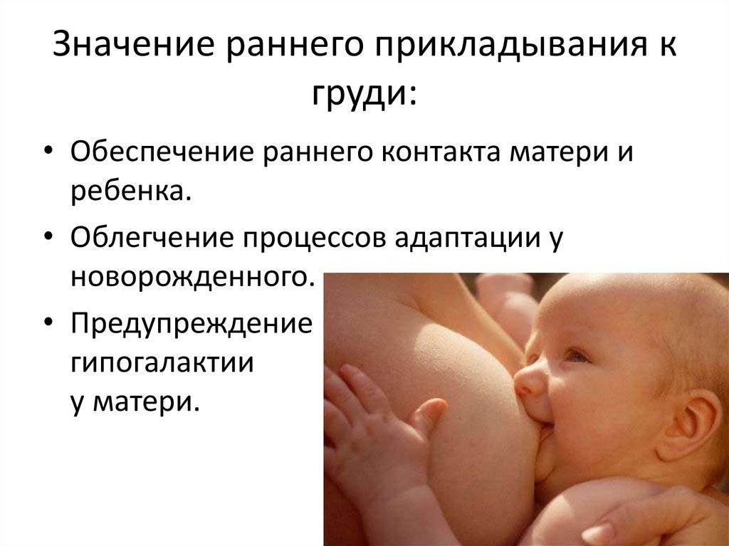 Правильные позы для кормления новорожденного ребенка: удобные положения (фото)