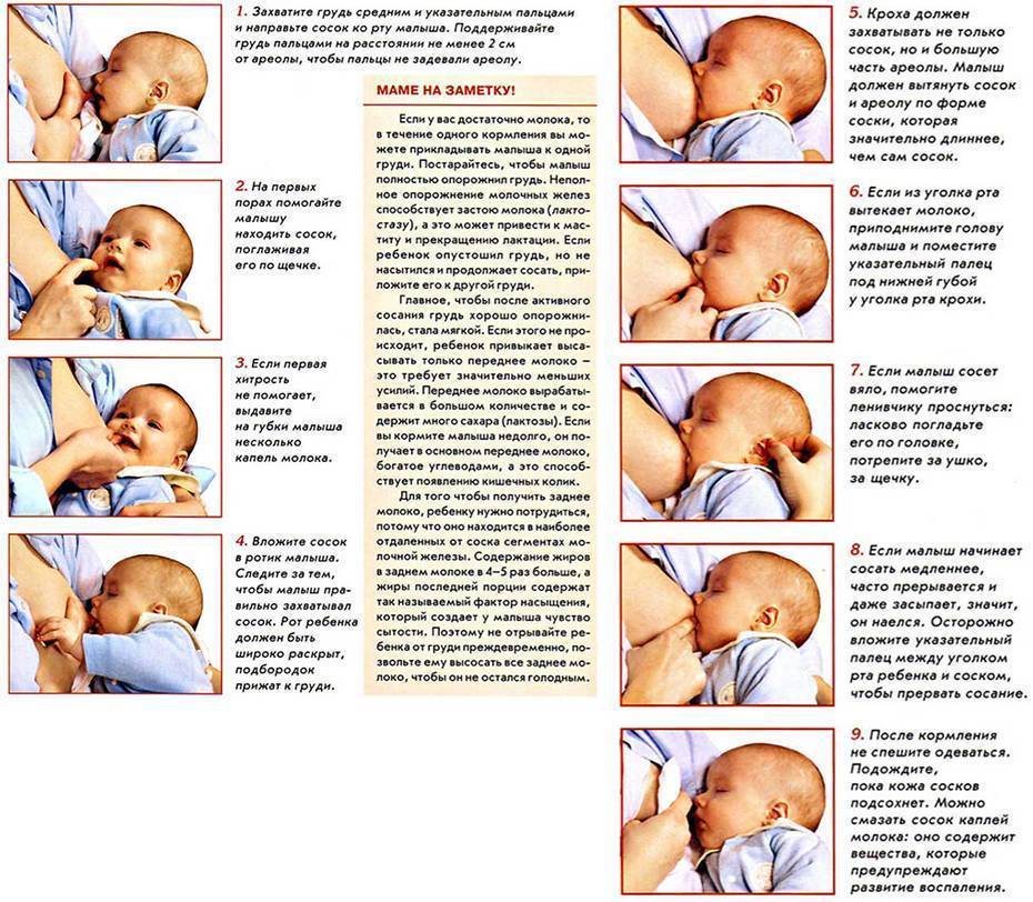 Как узнать наедается ли новорожденный грудным молоком - всё о грудничках