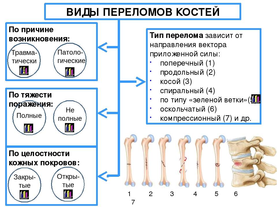 Признаки костей. Классификация переломов по характеру повреждения кости. Классификация переломов плоских костей. Переломы костей виды симптомы первая помощь. Классификация переломов костей по степени тяжести.