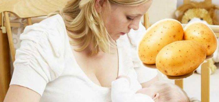 Картофель при грудном вскармливании: можно ли ее есть кормящей маме новорожденного, картошка в первый месяц гв, стоит ли употреблять отварную матерям грудничков