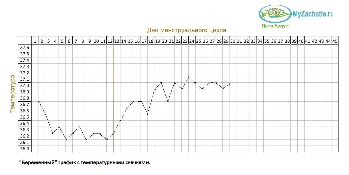 График базальной температуры при беременности до задержки