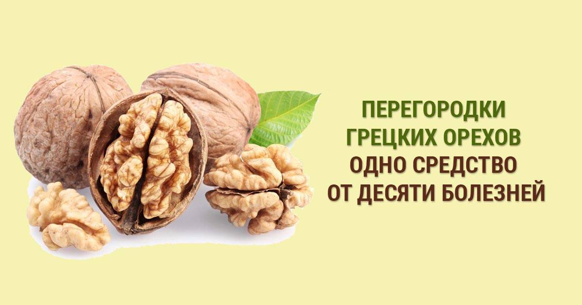 Грецкие орехи - польза и вред любимого плода + видео