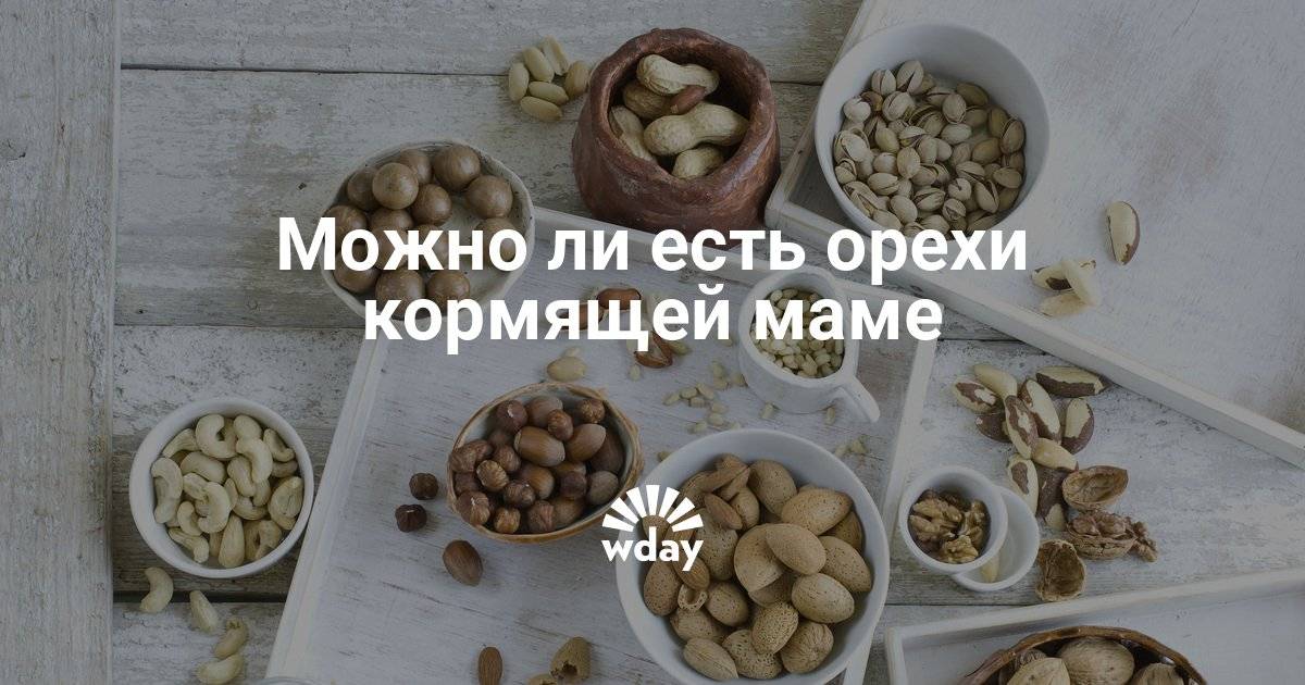 Грецкие орехи — польза и вред знаменитого лакомства