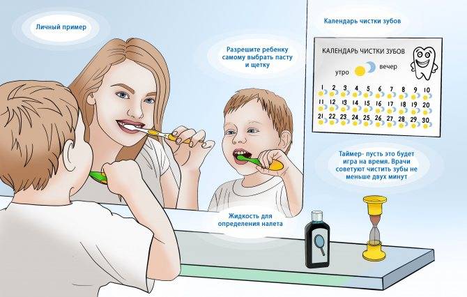 Как защитить молочные зубы от кариеса: меры профилактики - энциклопедия ochkov.net