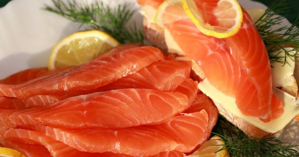 Кета, форель, лосось или семга — какая красная рыба лучше и вкуснее