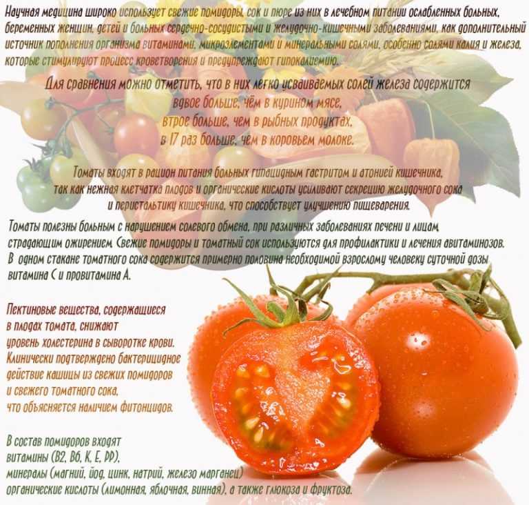 6 советов родителям по введению томатов в рацион малыша - справочник родителя