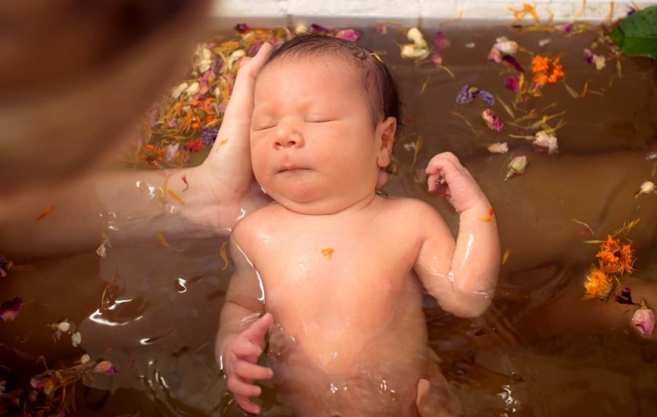 Полезные свойства череды для купания новорождённых и детей до одного года