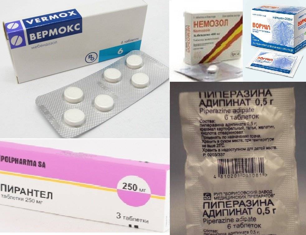 Таблетки от глистов: топ-10 самых эффективных препаратов
