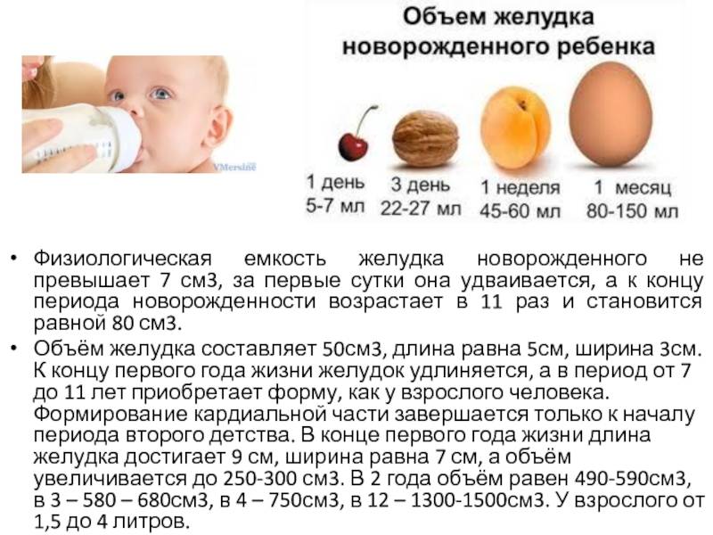 Сколько раз в день должен есть новорожденный и чем его кормить? от чего зависит то, сколько раз в день должен есть новорожденный ребенок - автор екатерина данилова - журнал женское мнение