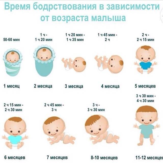 Сколько должен спать ребенок в 2 месяца: днем и ночью, таблица