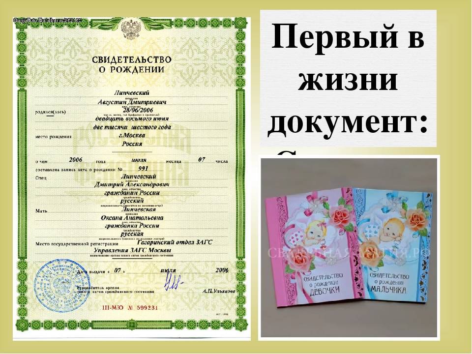Где и как получить свидетельство о рождении ребенка в москве в 2021 году