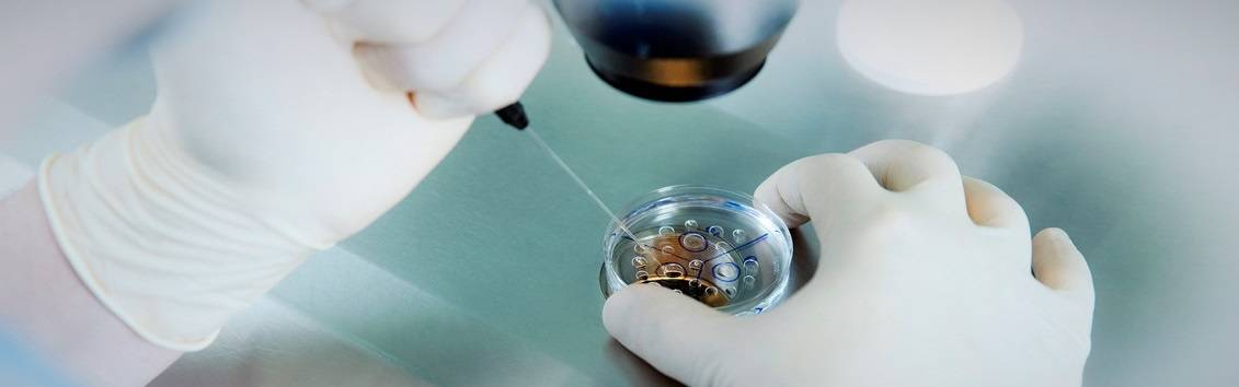 Эко с донорскими эмбрионами в москве - проведение эко по омс, цена в клиническом госпитале на яузе