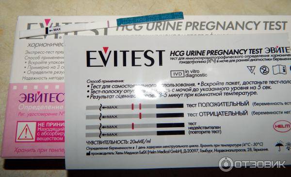 Виды и особенности тестов на беременность марки evitest