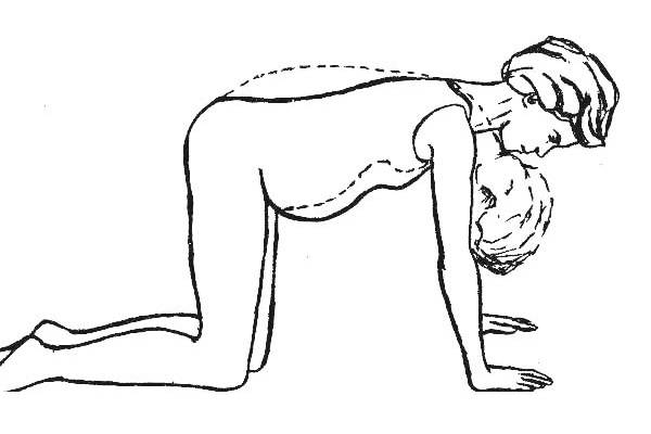 Йога для беременных: какие упражнения можно делать дома самостоятельно. какие позы йоги можно делать беременным?