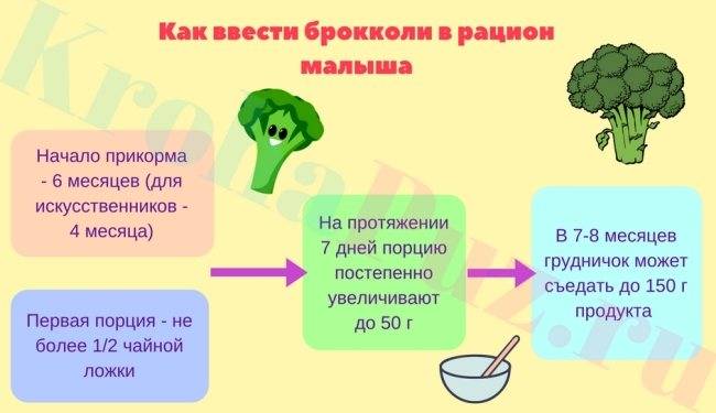 Сколько варить цветную капусту для детского пюре для прикорма грудничку (замороженную и свежую) по времени после закипания и как потом измельчить овощ для ребенка? русский фермер