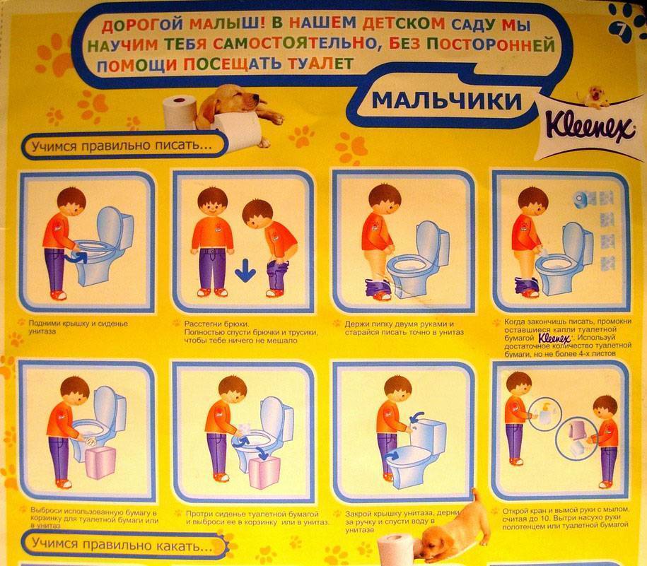 Как научить ребенка вытирать попу самостоятельно (после туалета)?