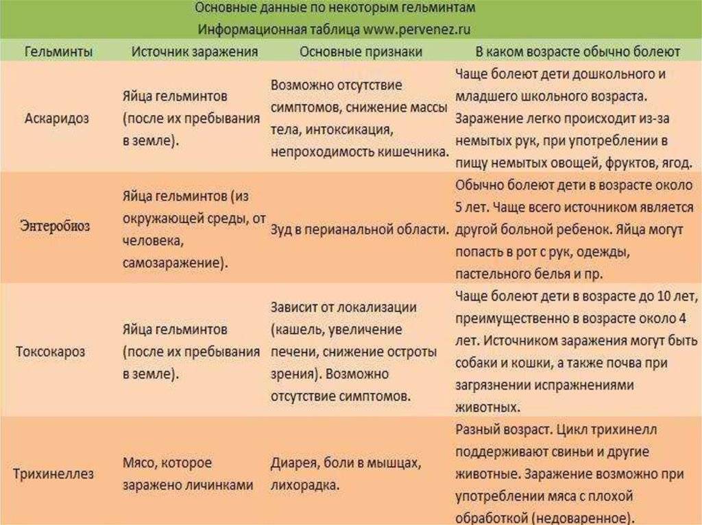 Анализ на антитела к аскаридам: показания, нормы — online-diagnos.ru