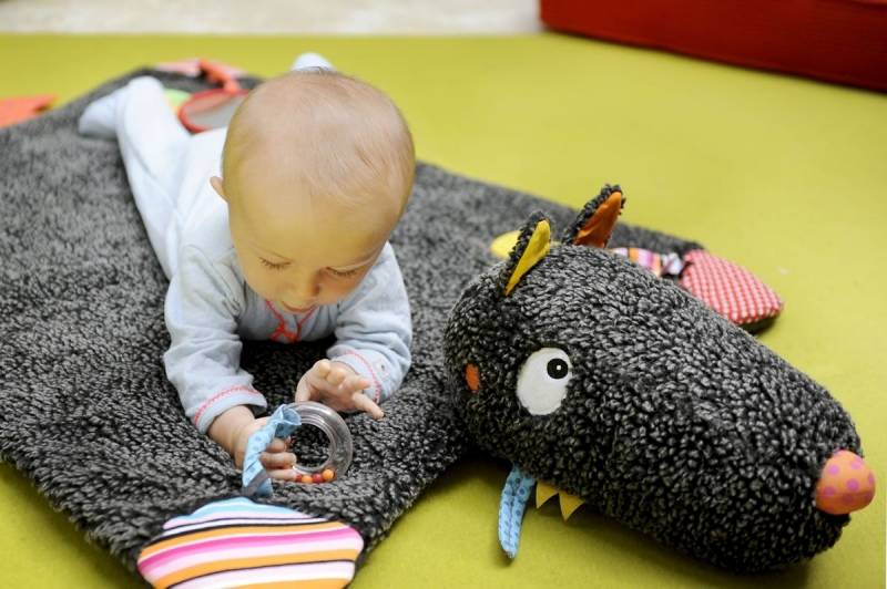 Веселое и безопасное игровое пространство для крохи: какие бывают развивающие коврики  для новорожденных и какую модель лучше купить?