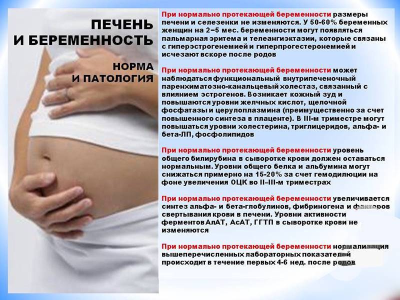 Двурогая матка и беременность