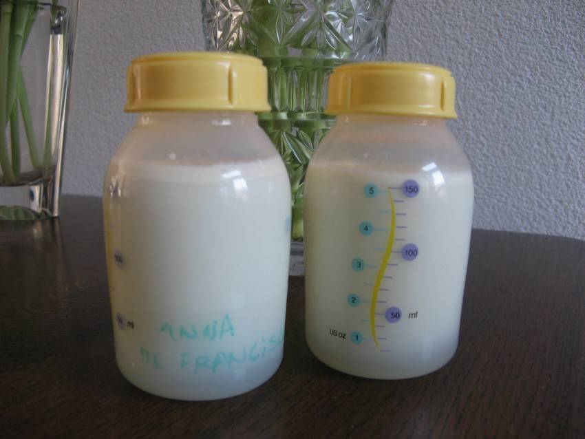 Как проверить качество молока в домашних условиях?
