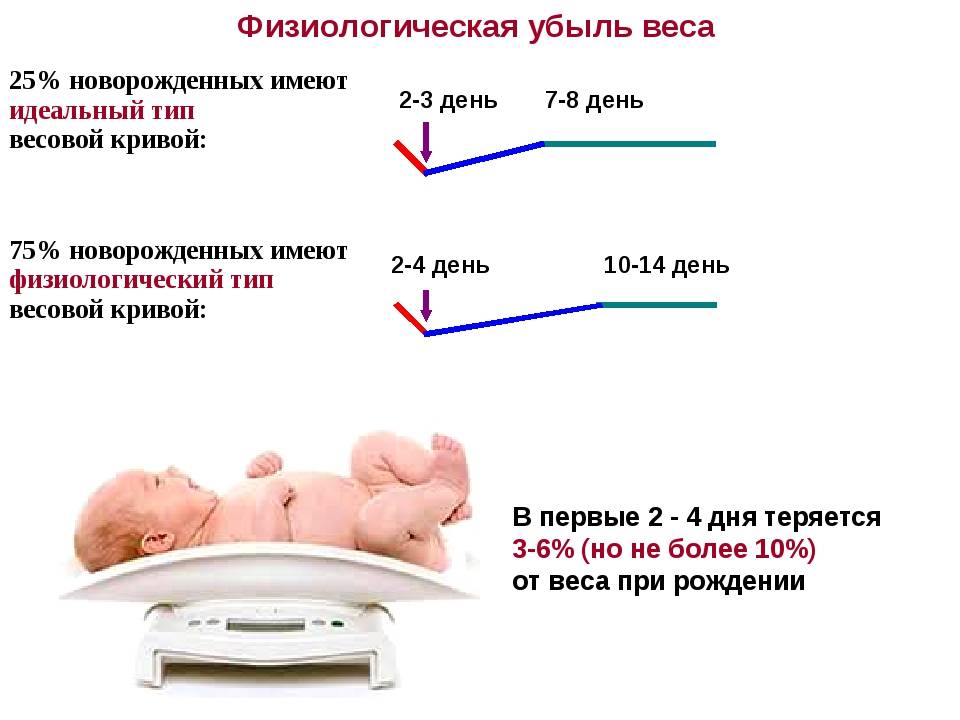 Вес новорождённого ребёнка | педиатрия и неонатология