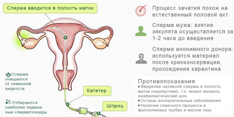 Правильное планирование беременности после отмены оральных контрацептивов