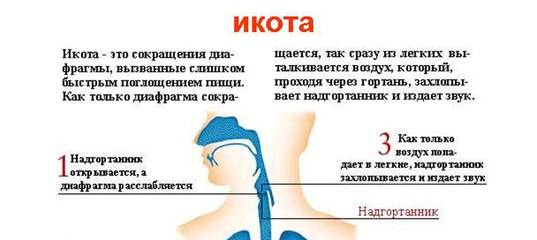 Что делать если появилась икота у новорожденных после кормления? — med-anketa.ru