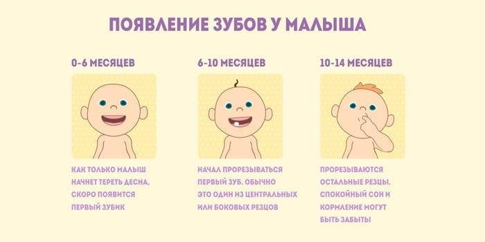 Во сколько первый зуб у ребенка. во сколько режутся зубы у грудничков: сроки, симптомы, помощь