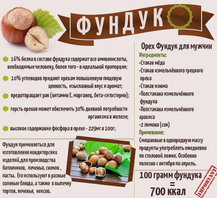 Грецкие орехи во время беременности: польза и вред