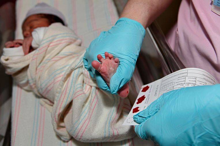 Первый скрининг новорожденных. неонатальный скрининг - забор крови на "пяточный тест"