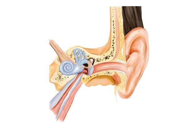 Острые воспалительные и инфекционные заболевания среднего уха - острый тубоотит: причины, симптоматика, медицинская помощь, лечение в москве
