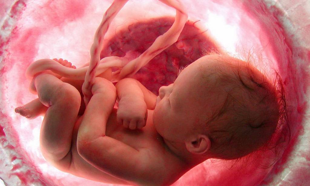 Развитие ребенка в утробе матери - причины, диагностика и лечение