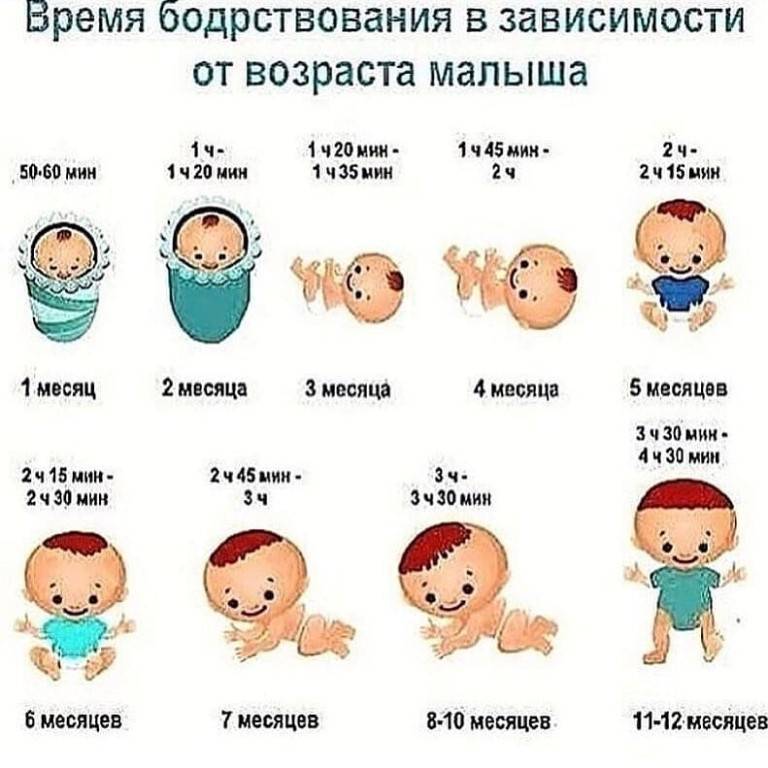 Что должен уметь ребенок в 2 месяца - рост и вес при грудном вскармливании, режим кормлений и сна, норма развития мальчика и девочки