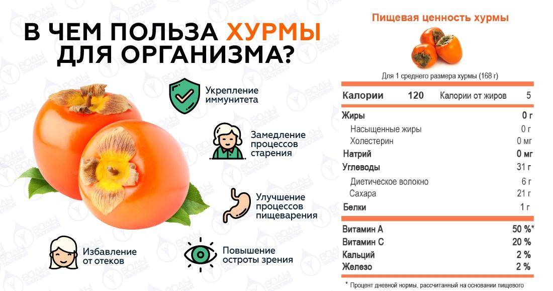 Хурма при грудном вскармливании - польза и вред | nail-trade.ru