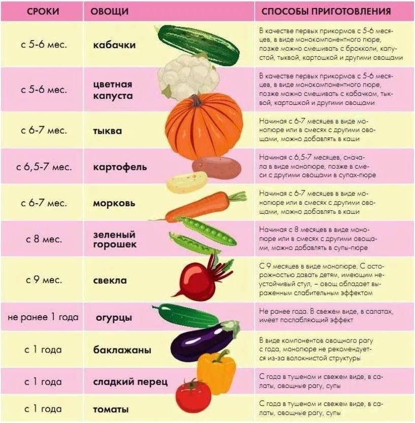 Как приготовить овощное пюре для грудничка: рецепты и разрешенные продукты