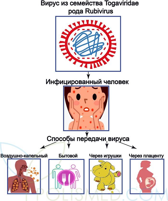 Краснуха : причины, симптомы и методы лечения заболевания — клиника isida киев, украина