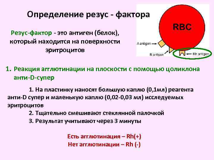 Определение резус фактора плода (ген rhd) в крови матери, молекулярно генетическим методом