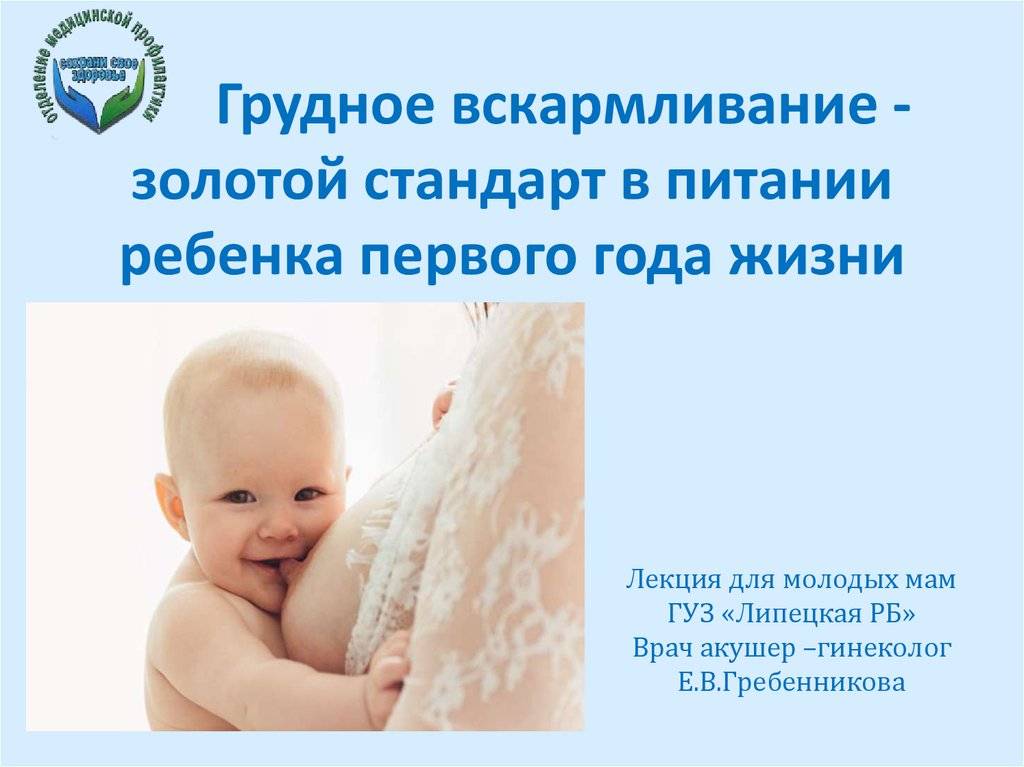 Схема введения прикорма по новым правилам: что изменилось - parents.ru