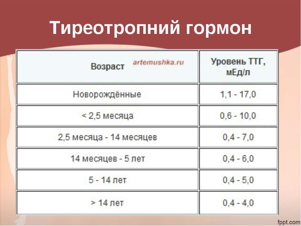 Норма ттг у мужчин после 60