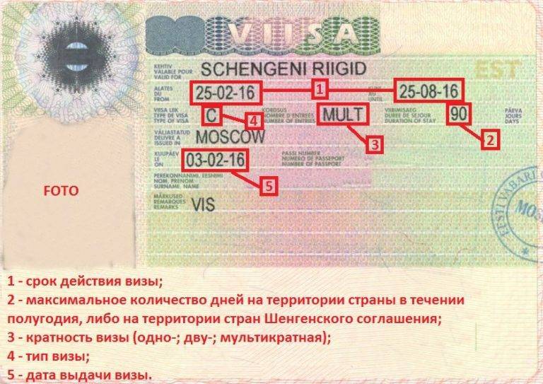 Какие документы нужны ребенку для оформления визы, если у родителей есть шенген?