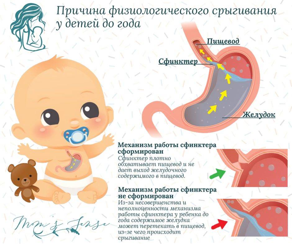 Почему младенец часто срыгивает после кормления | салид