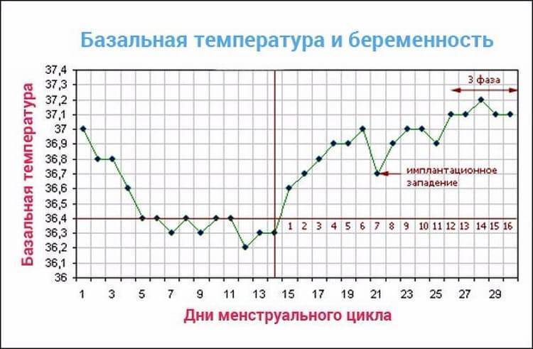 О чем говорит температура тела - 7дней.ру
