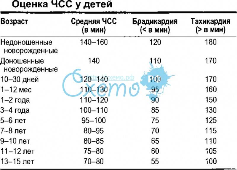 Пульс числу сердечных сокращений. Частота дыхания и пульса у детей по возрастам таблица. Частота пульса и дыхания у детей норма по возрастам таблица. ЧСС ЧДД норма у детей. Показатели частоты сердечных сокращений у детей разного возраста.