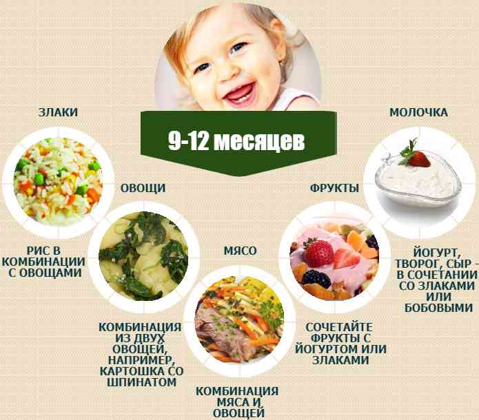 Меню питания для детей – рецепты на каждый день. принцип питания для детей разных возрастов