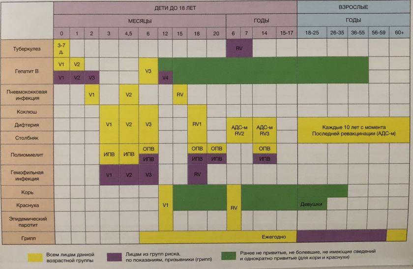Адсм прививка от чего. АДСМ прививка схема вакцинации. Прививка АДСМ график вакцинации взрослым. Прививка АДСМ календарь прививок детям. АДС-М прививка график прививок.