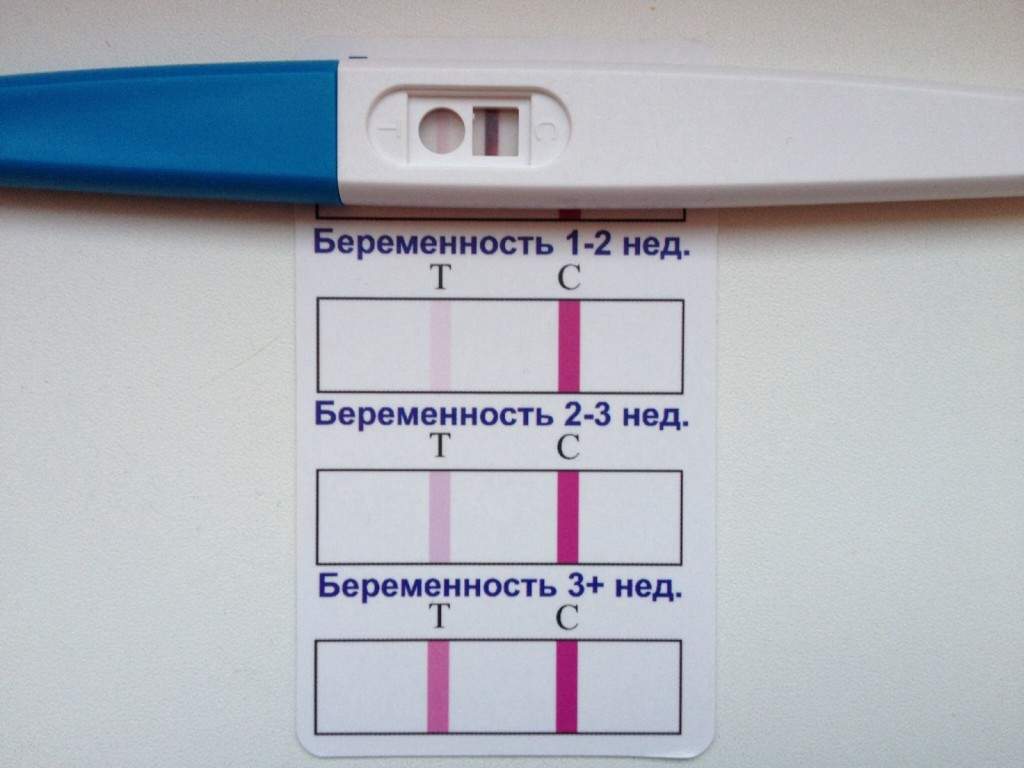 Как сделать тест положительным если я не беременна | yurys.ru