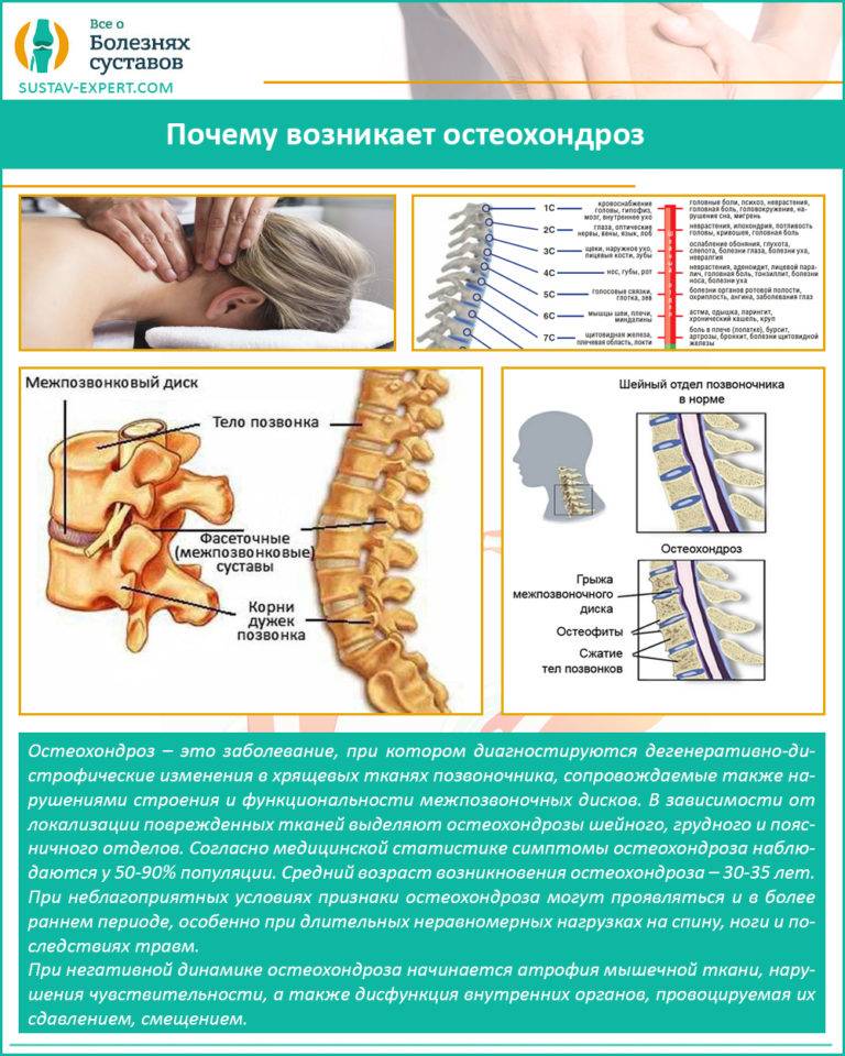 Как заболевания позвоночника влияют на пищеварение?